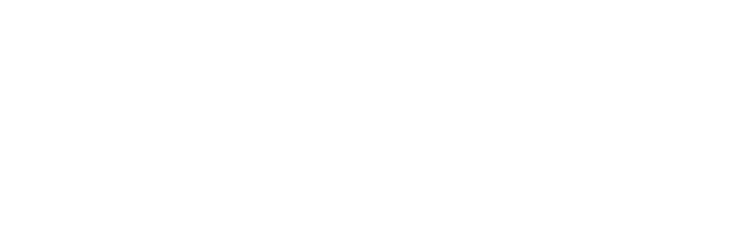 google-logo-white